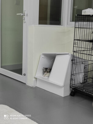 猫砂盆