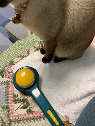 狗毛猫毛清理器