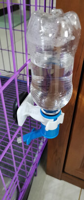 宠物水壶