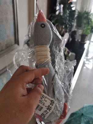 狗狗玩具