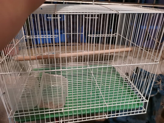 鸟笼