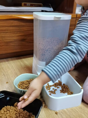 宠物自动喂食器