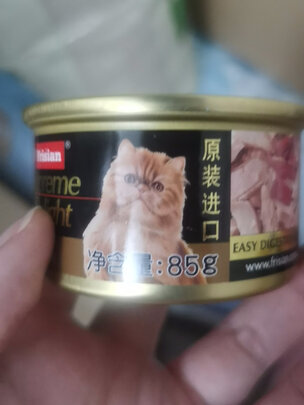 猫罐头