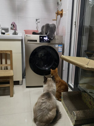 小天鹅TG100V20WDG滚筒洗衣机|独家剖析小天鹅TG100V20WDG洗衣机用后告诉大家实情真相？