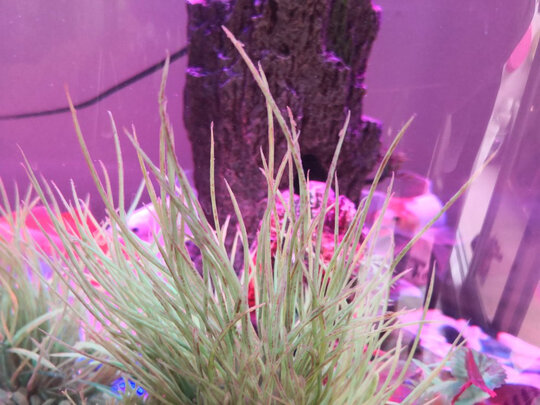 鱼缸过滤棉