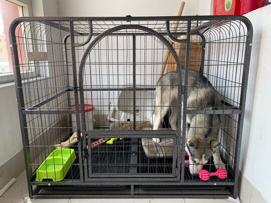  狗笼
