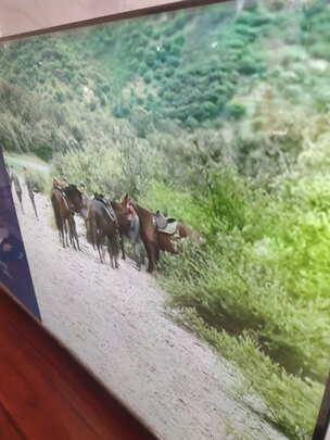 TCL65T680电视|TCL65T680电视怎么样？内幕使用评测揭秘