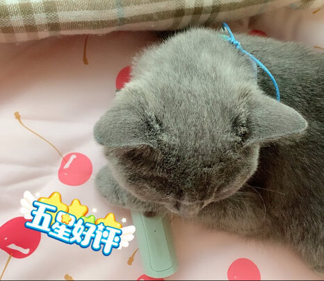 猫咪剃脚毛器