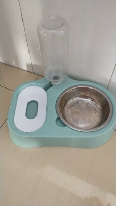 猫碗狗碗