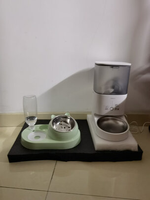 猫碗狗碗