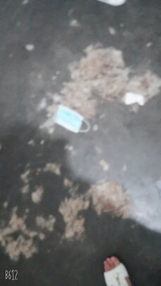  狗狗电推剪