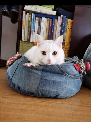 猫冻干
