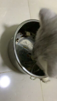 猫冻干