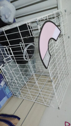  猫笼
