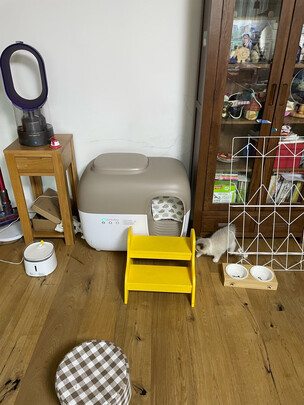 猫砂盆