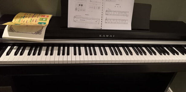 质量揭露卡西欧PX-870BK怎么样好不好？真实体验【评测】