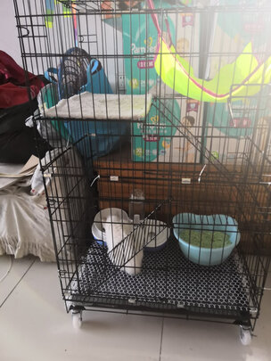 猫碗狗碗