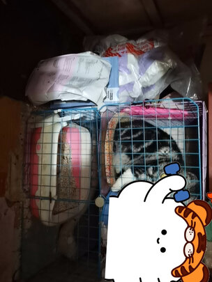 膨润土猫砂