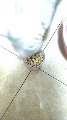 猫零食
