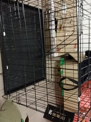 猫笼