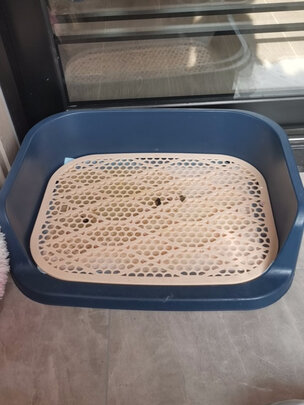 狗厕所