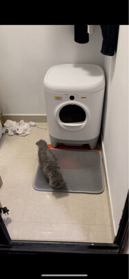 猫砂盆