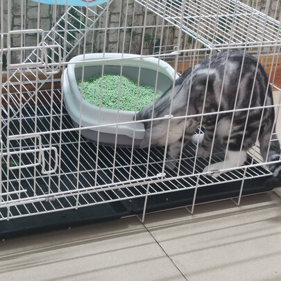  猫笼