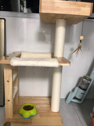 猫爬架