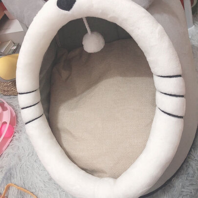 猫窝