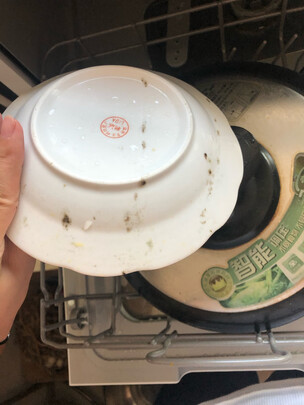 布谷洗碗机|知乎评测：布谷洗碗机怎么样？到底质量是好还是差？上手讲体验感受