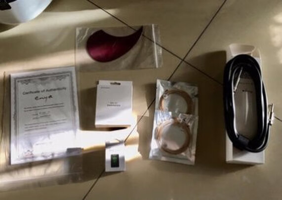 enyaT-10S|enyaT-10S DE电箱款吉他好吗？图文评测曝光