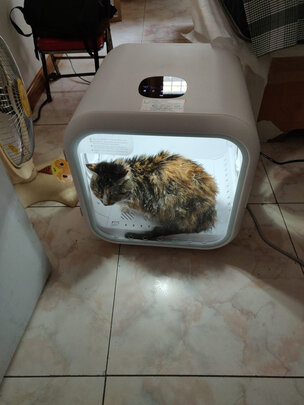  宠物烘干箱