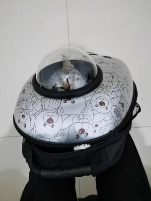 猫包
