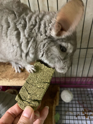兔子零食