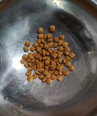 狗粮