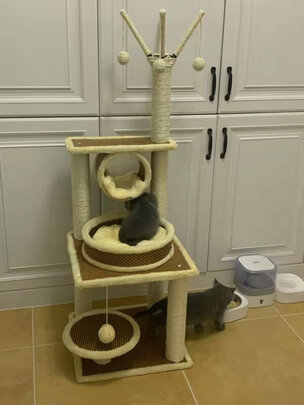 猫爬架