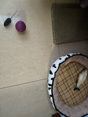 逗猫棒