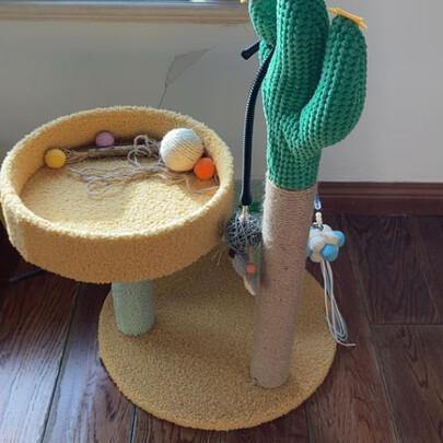 猫窝