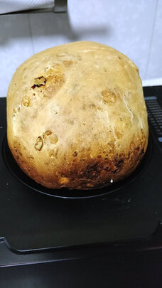 松下SD-WTP1001怎么样优缺点有哪些？用后1个月反馈评测
