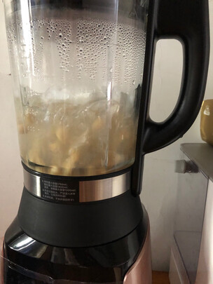 Vitamix维他密斯E310体验反馈优缺点，内幕分析到底如何?