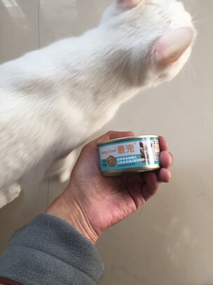 猫罐头