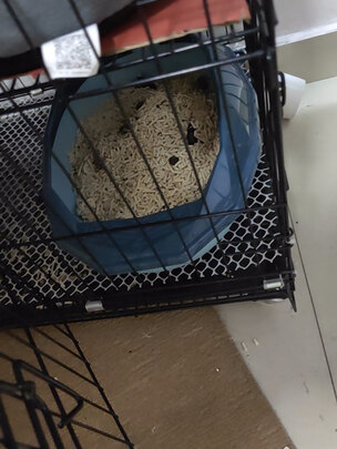 豆腐猫砂