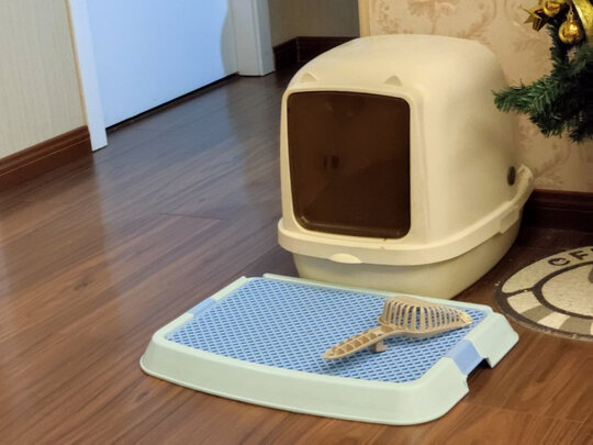 豆腐猫砂