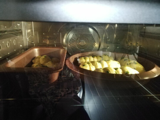 松下蒸烤箱JK200W质量坑不坑爹，老司机良心点评