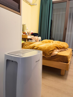 BrandtD22L除湿机|BrandtD22L除湿机到底怎么样，参数如何！