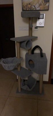 猫爬架