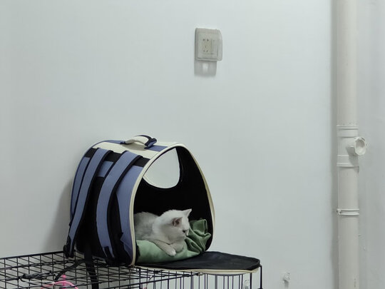 猫包