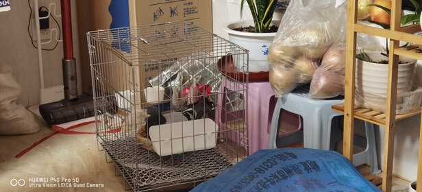 鸟笼