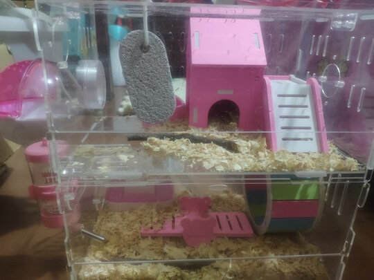仓鼠水壶