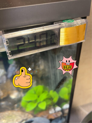 鱼缸温度计